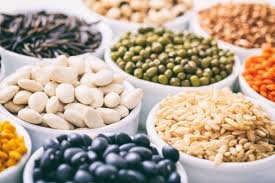 Organic Vegetable Seeds
